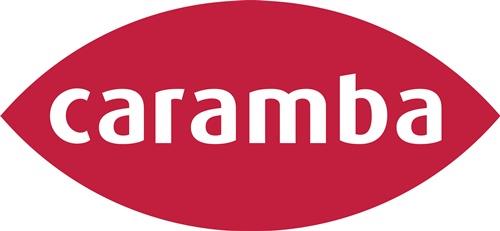 Zinkspray Alu hell 500 ml Spraydose CARAMBA